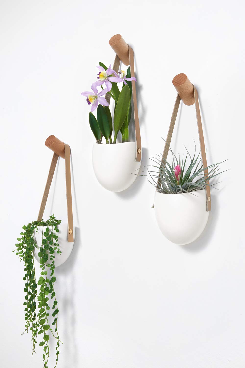 3 hanging pots with cactus