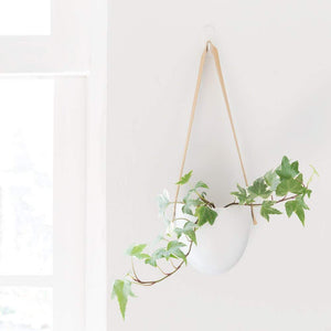 Hanging pot with hanging leaves