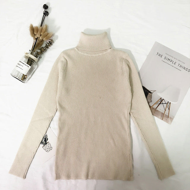 Melodee Luxury Turtleneck Sweater