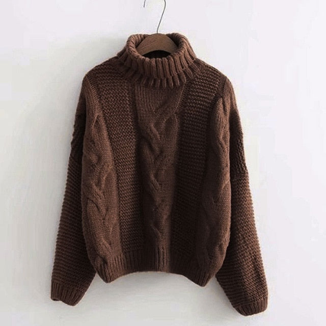 Janelle Winter Women's Sweater Basic Pullover